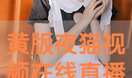 夜猫视频,揭秘深夜娱乐新潮流