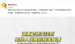 吃瓜是娱乐圈词汇吗,揭秘“吃瓜”背后的娱乐文化现象